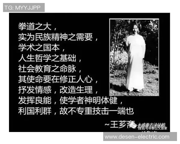 意拳的哲学与实践探索：从内心修炼到外在表现的全面解析